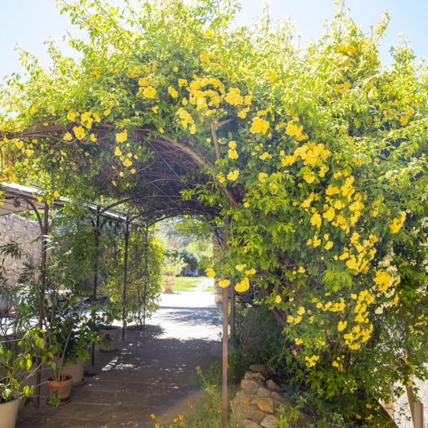 Patio de la Ferme du Petit Ségriès