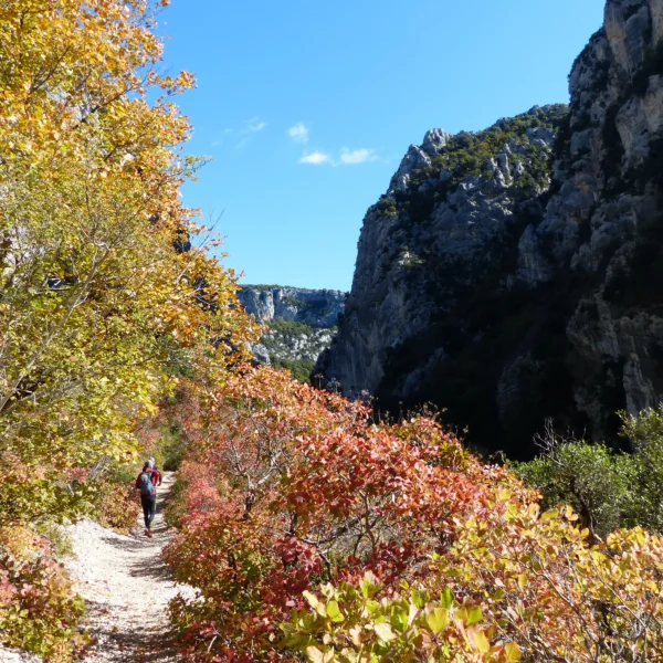 sentier-martel